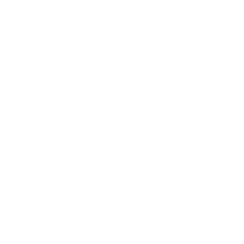logo blanc